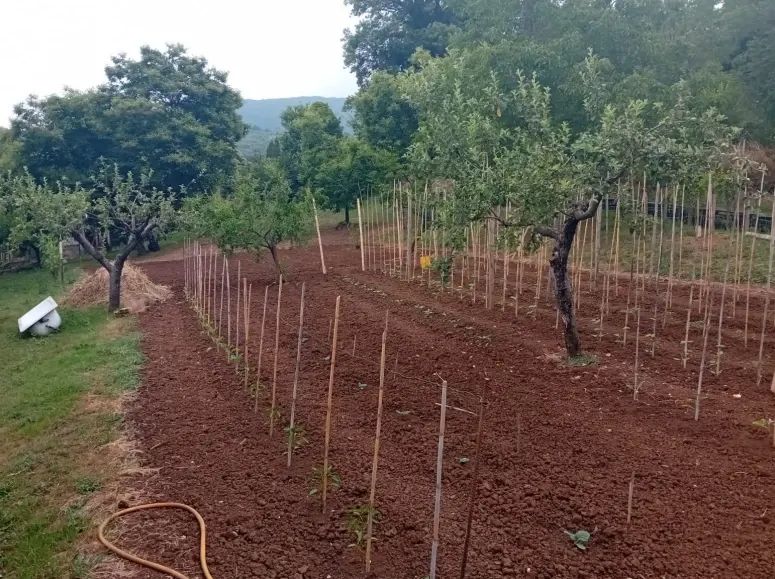 Terreno agricolo a Terracina (LT)